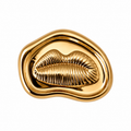 VP 37 Gold Kiss Design Metal Shank Button – 20 & 28 mm